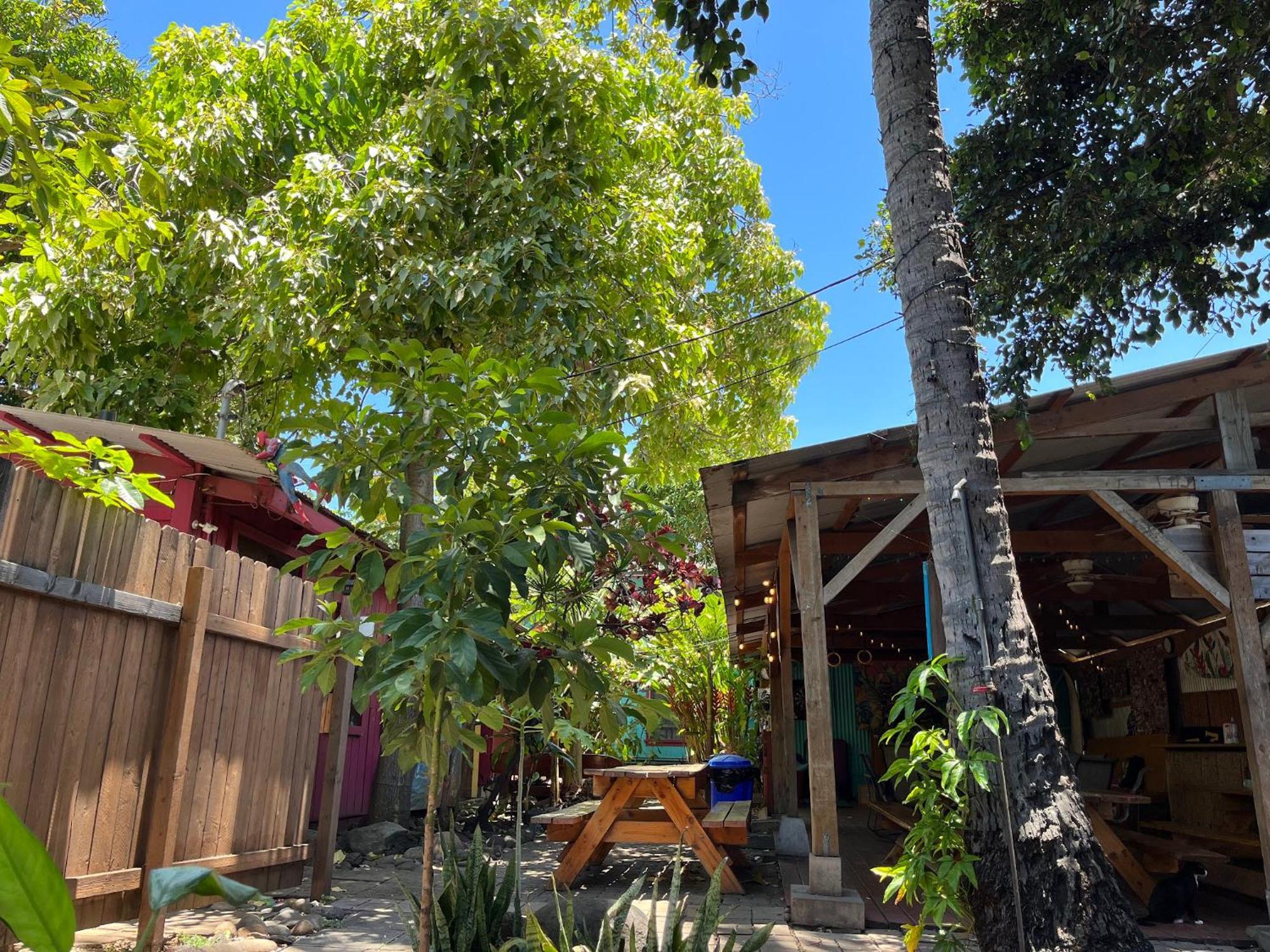 Staying in Hawaii: 9 Couple Hotels Compared