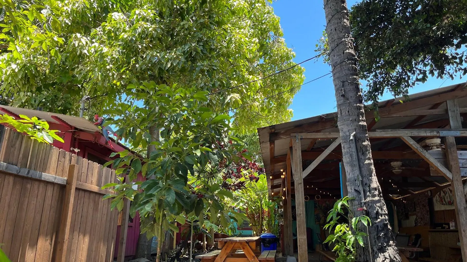 Staying in Hawaii: 9 Couple Hotels Compared